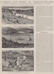 Farming and Sport in Newfoundland